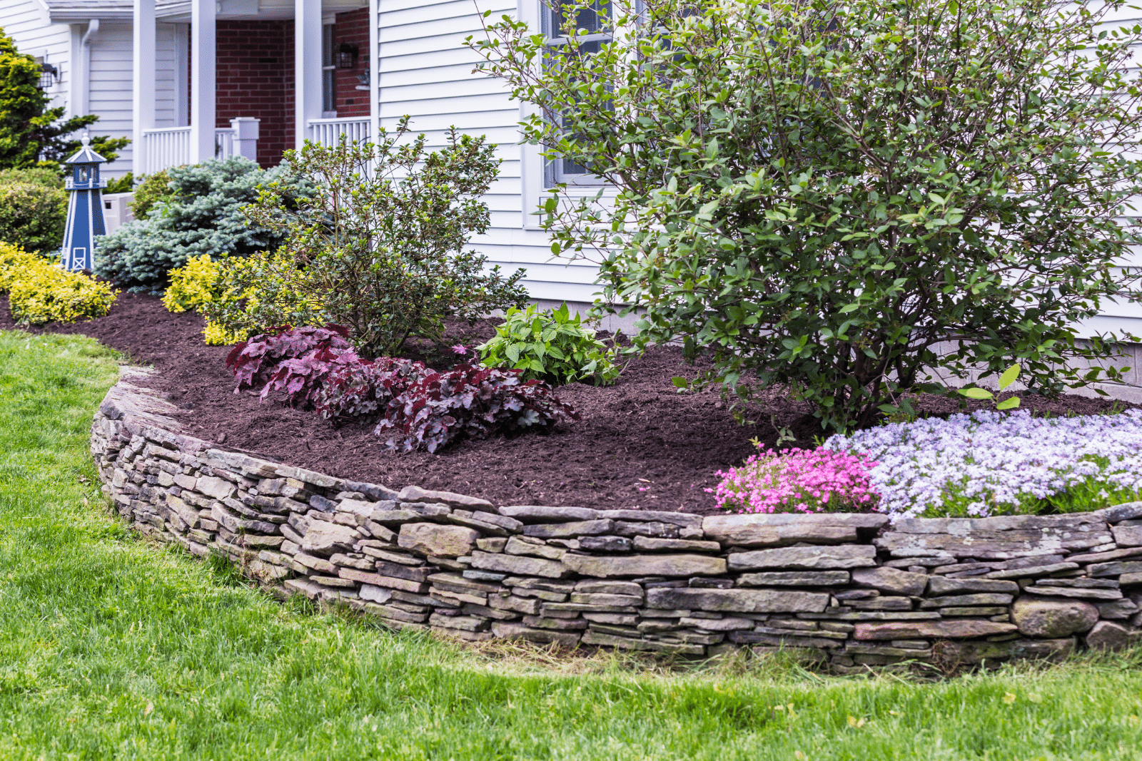 A landscape area around a tree with exposed roots, featuring mulch, decorative stones, and low-growing plants, creating a natural and appealing garden design.