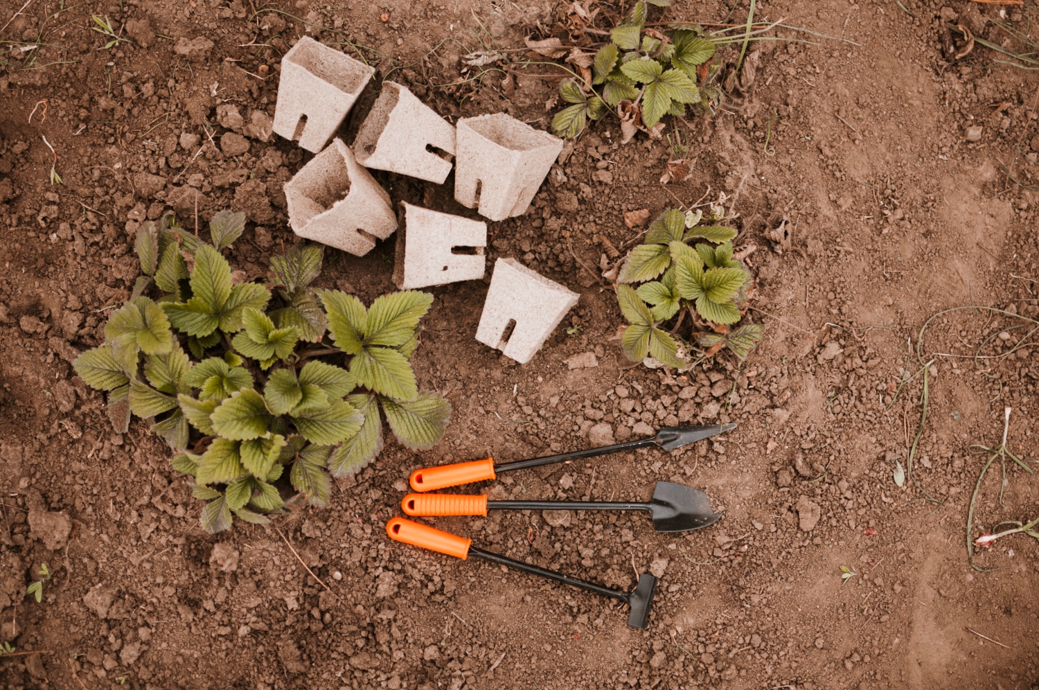 landscape-construction