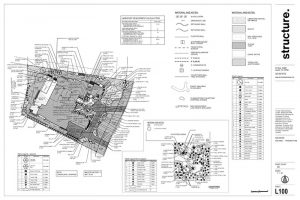 Flowering-Senna-Landscape-Design